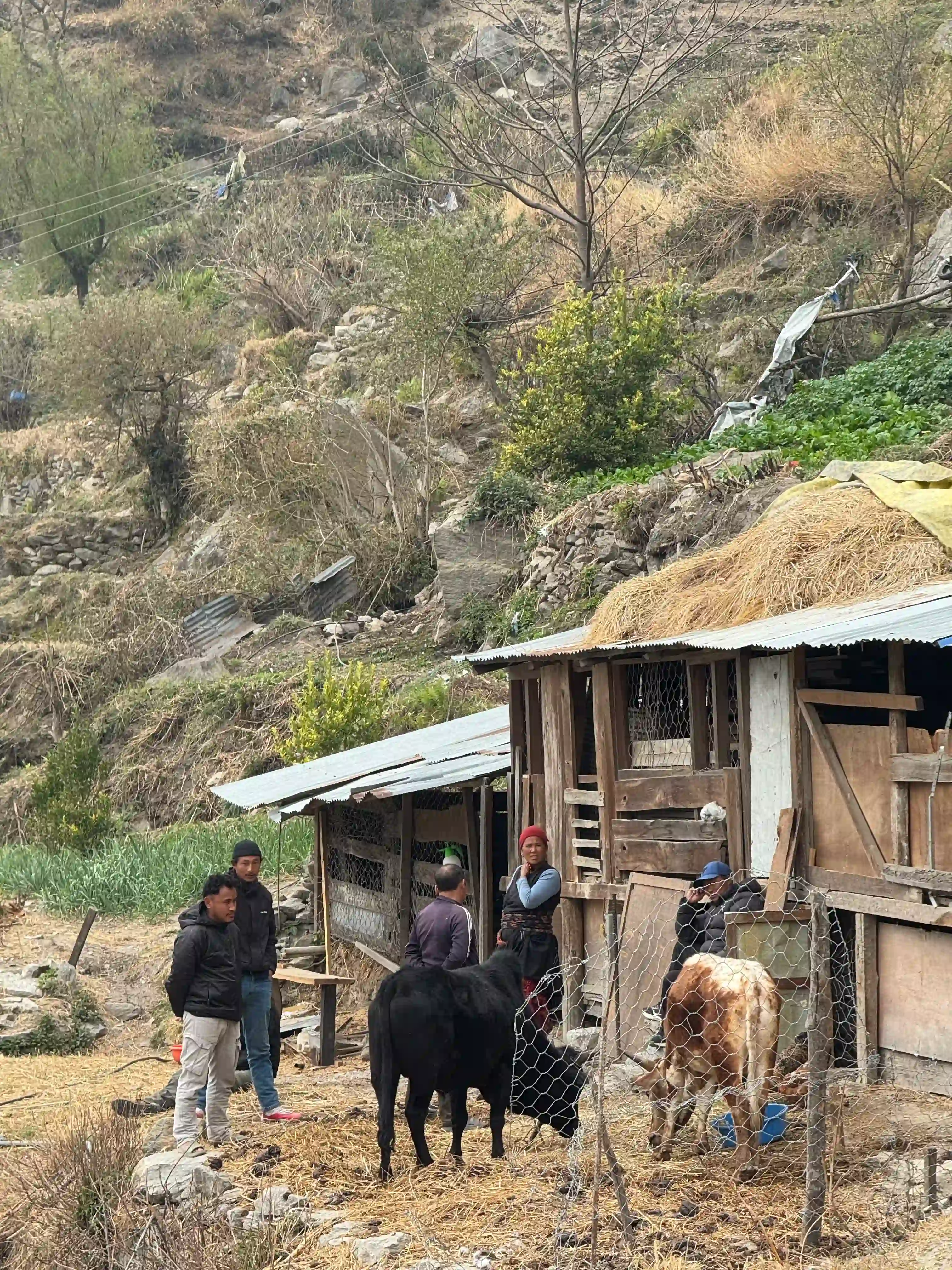 Small hut above Syafru