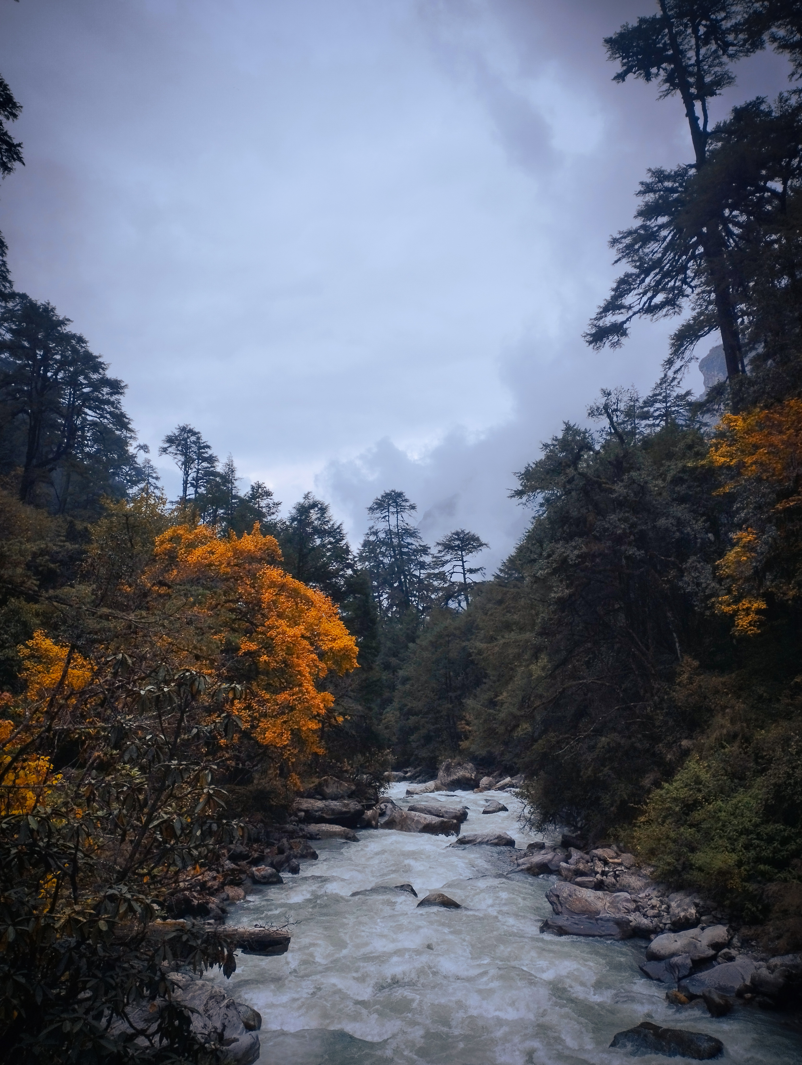 Langtang River near Pering Kharka