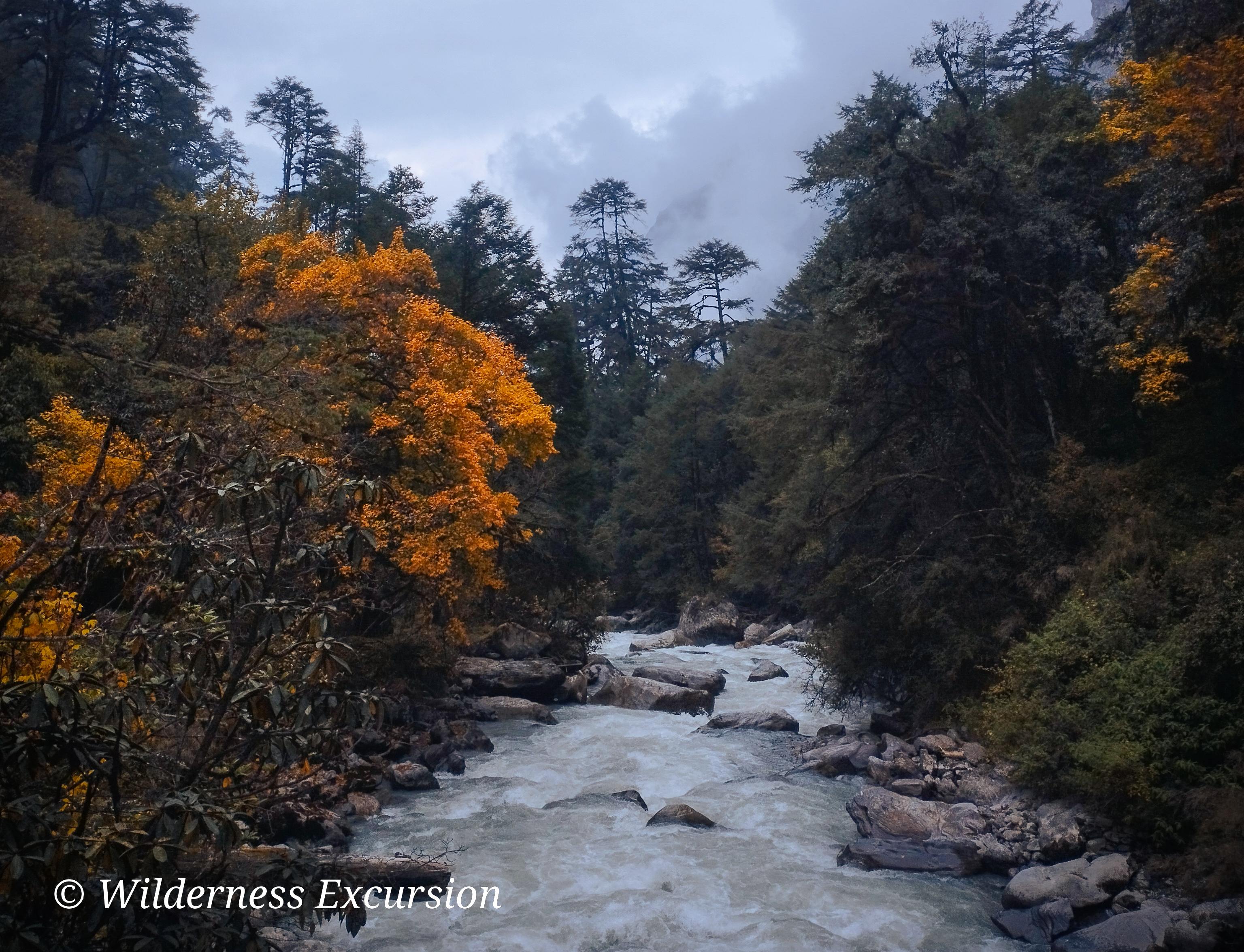 Langtang River