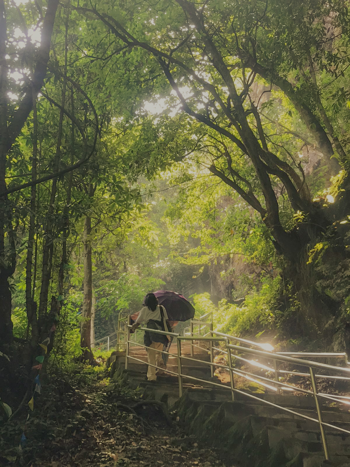 Stair trail to temple