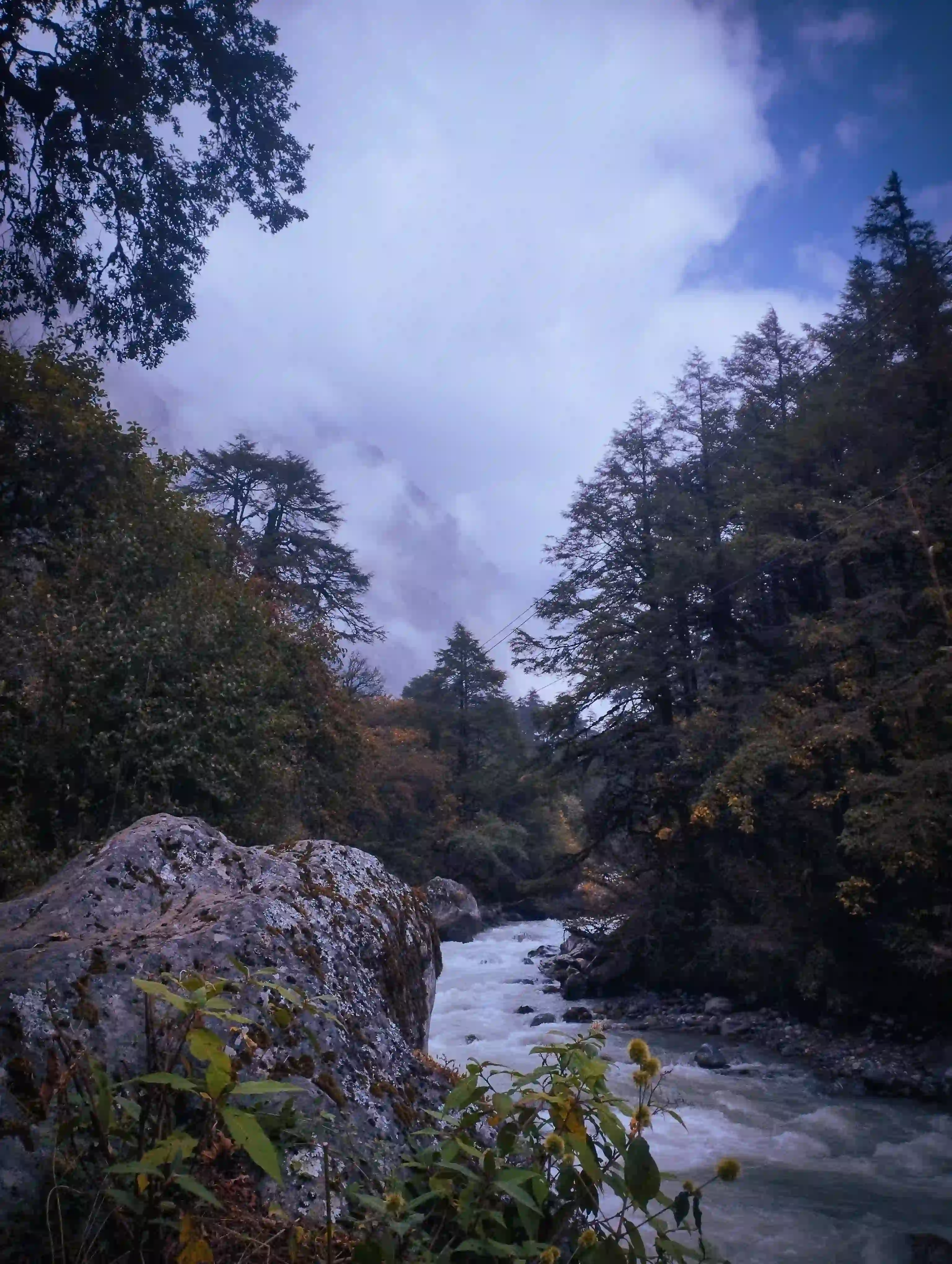 Langtang river near chunnama