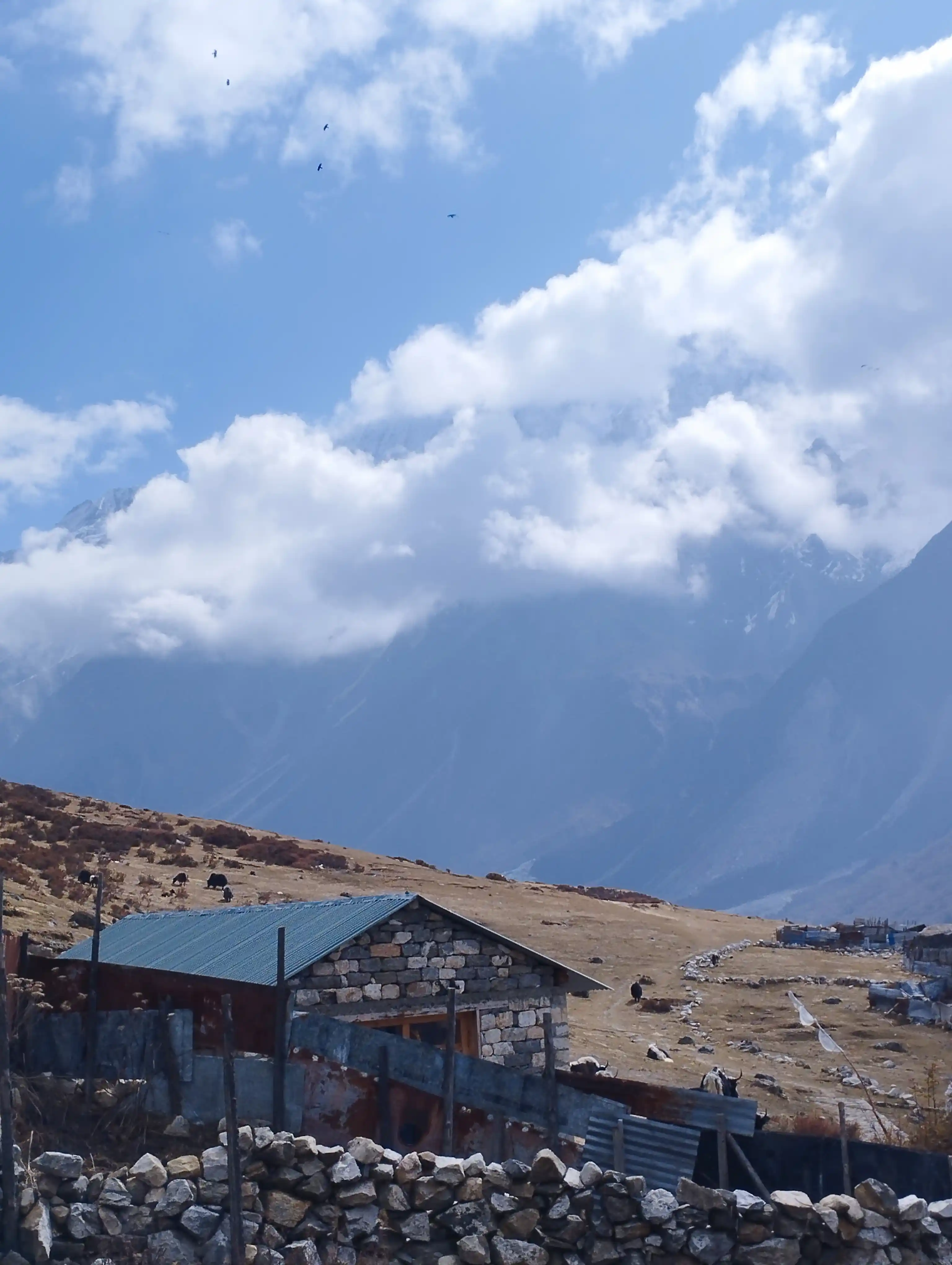Small hut in Kyanjin Gompa